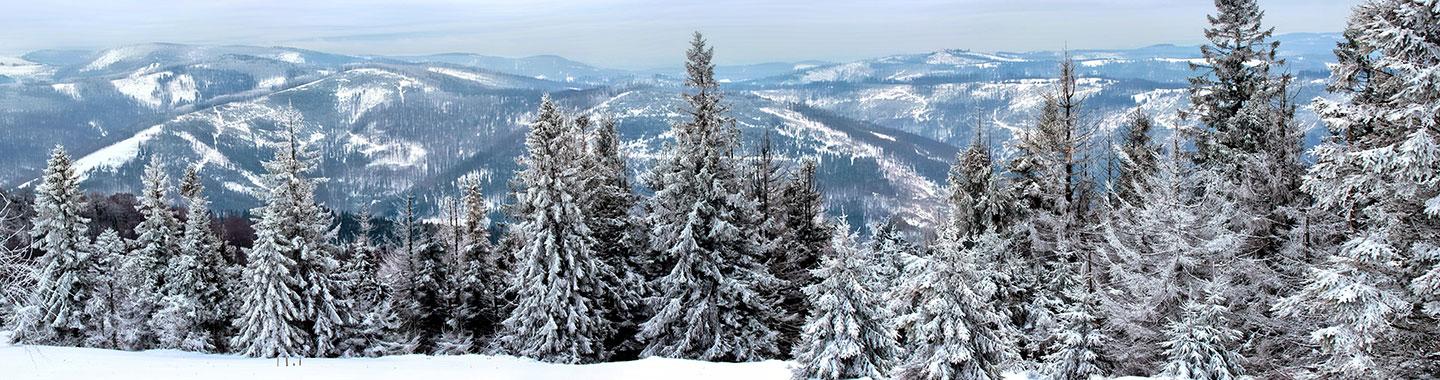 Banner for Auf Die Berge